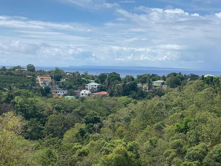 Les Villas Du Bambou - Villa Bambou Jusqu'A 6 Pers Le Gosier  Eksteriør billede